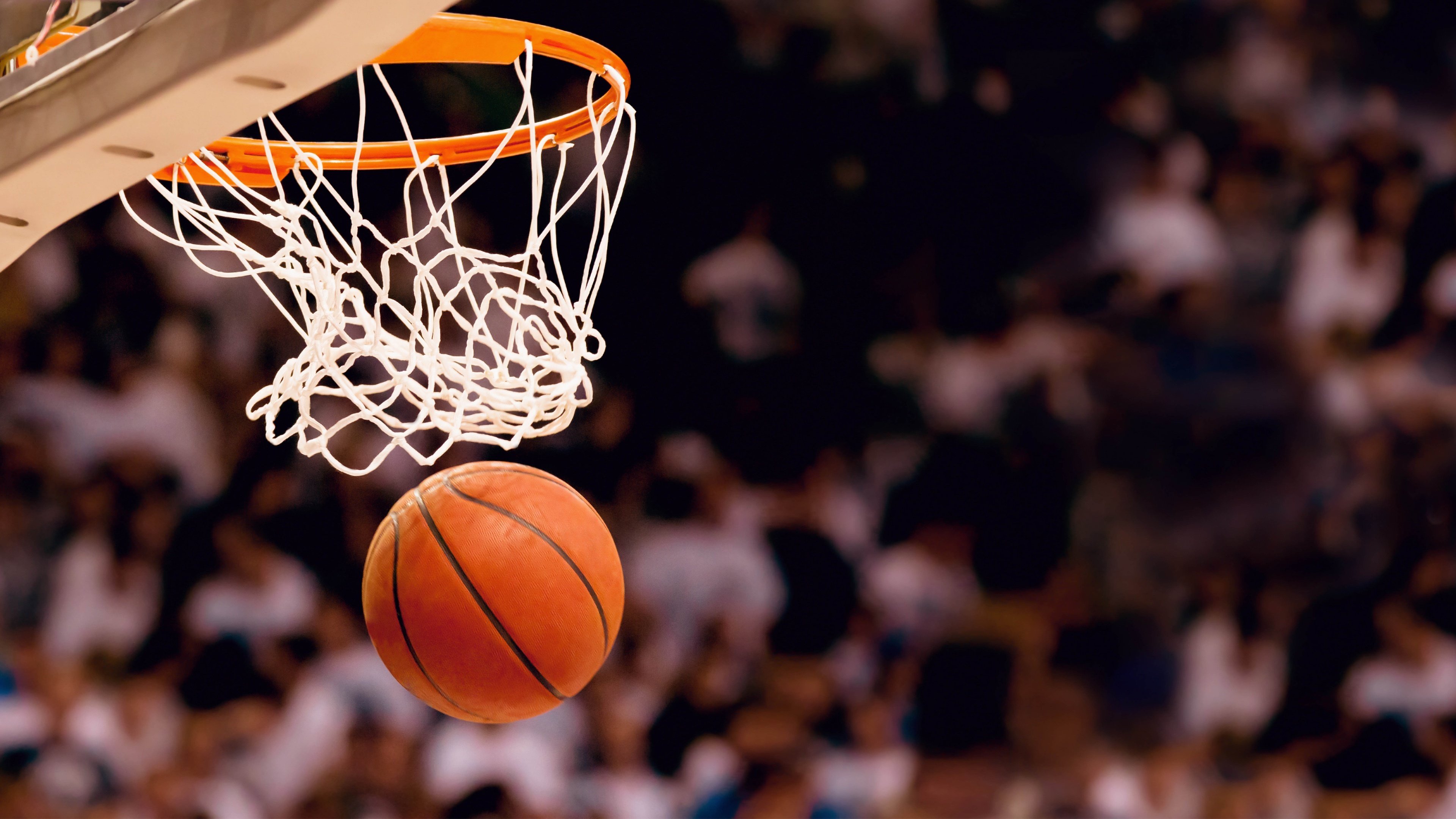 體育投注-跨界风暴，从凯尔特人德甲灵感到塞维利亚NBA更衣室回声